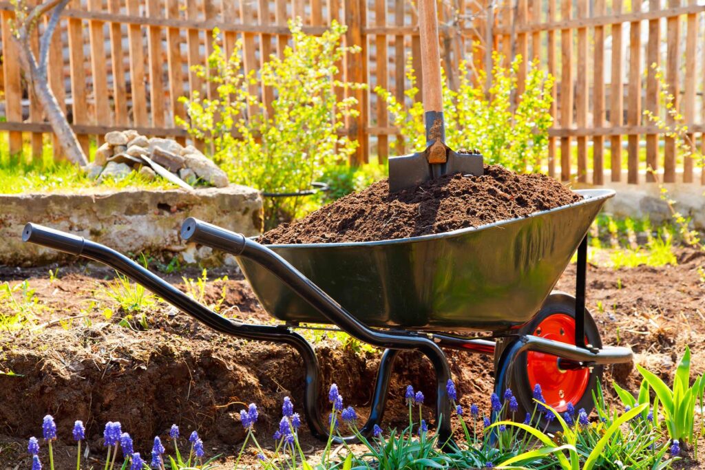 Preparing Your Garden for a Fresh Start With Garden Clearance