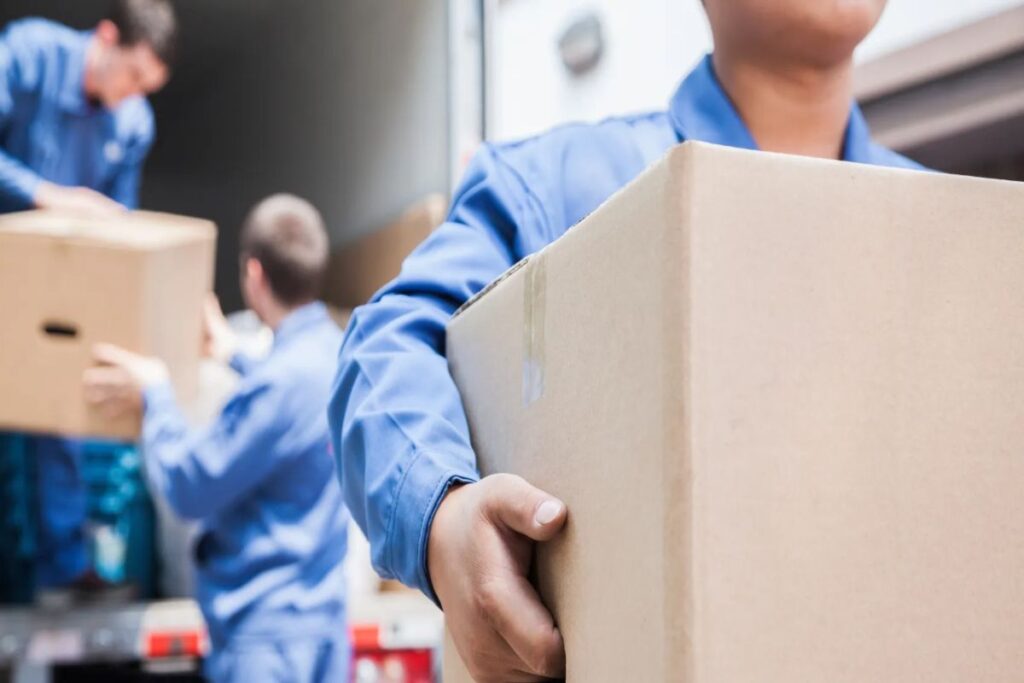 Reasons to Hire Professional Movers on Your First Move