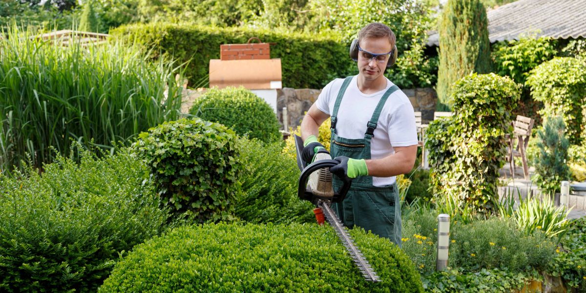 gardening-and-landscaping