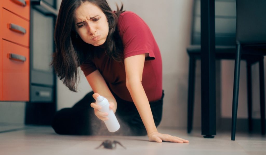 Best Pest Control Services in India- The Ultimate Guide